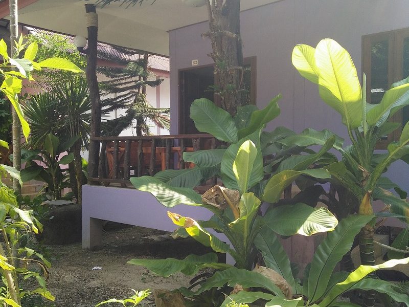 Pack : Logement + entraînement + Transfert